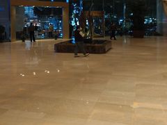 -南京金陵饭店