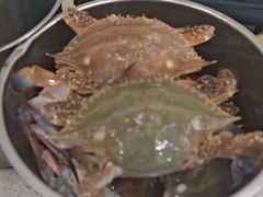 -仙螺岛海鲜自助餐厅(总店)