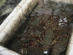 -拉威海鲜市场