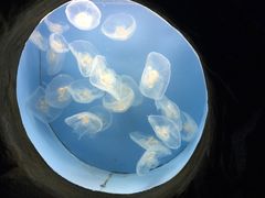 -常州海昌海洋探索馆