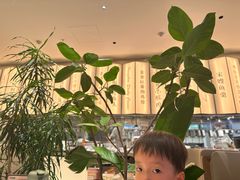 -桂满陇(虹桥天地店)