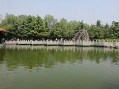 -神州牡丹园