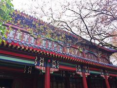 -灵谷景区