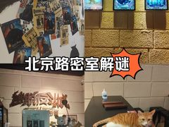 -逃脱反斗城沉浸剧情密室(北京路店)