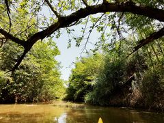 -7分甜(上海新天地广场店)