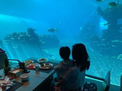 -海棠湾洲际-涛·海底餐厅·美人鱼·自助餐·海底隧道
