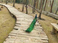 -哈尔滨北方森林动物园