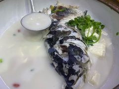 -全乐鱼馆·淳牌有机鱼直营店
