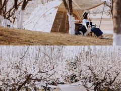 -国际非物质文化遗产博览园