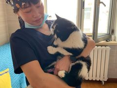 -北京观赏动物医院·24小时大型综合·猫专科·异宠专科