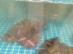 -大润发(梅兰东路店)