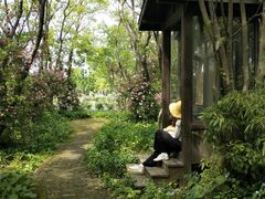 -鹅湖玫瑰文化园