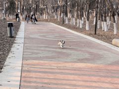 -莫子山公园