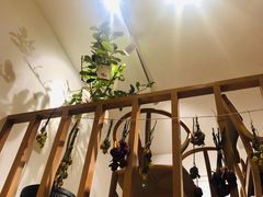 -Oasis coffee燕谷咖啡(公信店)