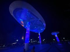 -鼎盛王朝康熙大典实景演出