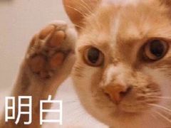 -小洋口旅游度假区