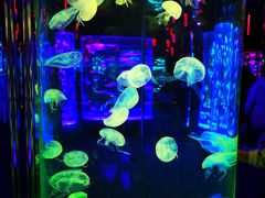 -成都浩海立方海洋公园