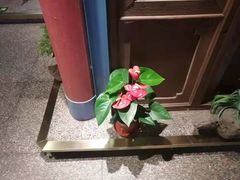 -老牌坊云南鱼豆花火锅(哈西万达店)