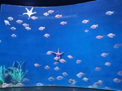 -沈阳海洋探索中心