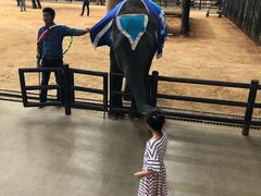 -东芭乐园