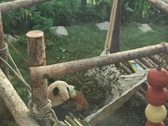 -大连森林动物园