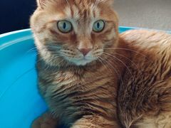 -芭比堂动物医院·CT·微创中心(新顺分院)