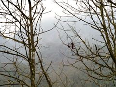 -西岭雪山大飞水景区