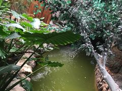 -龙达温泉生态城