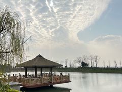 -苏州湾·王焰温泉