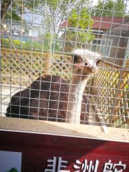 点击看大图 -萌宠亲子动物乐园(槐房万达店)