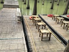 -泗洪洪泽湖湿地景区