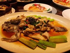 -猪肉婆私房菜(容桂总店)