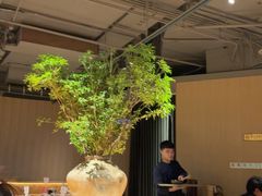 -盡膳口福跷脚牛肉火锅(国贸商城店)