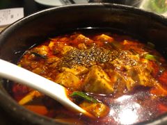 -陈麻婆豆腐总店