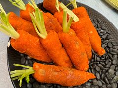 -丁老爷子苏香圆