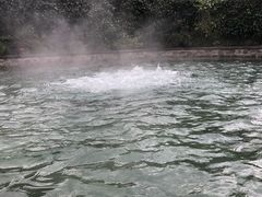 -杭州第一世界大酒店·云曼温泉