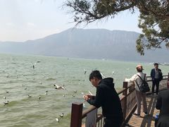 -滇池海埂公园