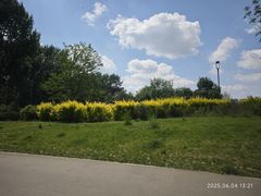 -长白岛森林公园