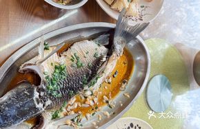 Slimming Fish in Mountain Spring Water