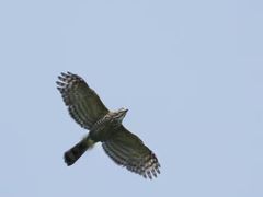 -苏州河梦清园环保主题公园