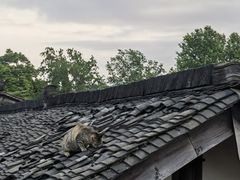 -都江堰景区