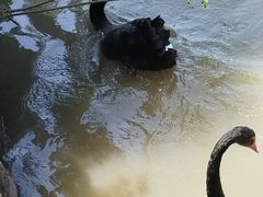 -上海野生动物园