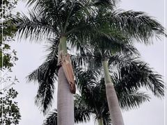 -广州市白云山风景名胜区