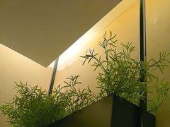 -华夏良子·足道SPA艾灸(王府井店)