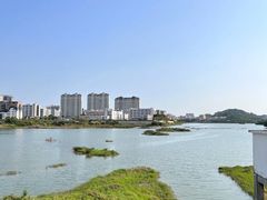 -立新湖公园