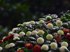 -共青国家森林公园-售票处