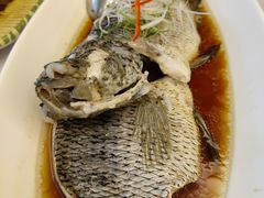 -骏莱海鲜鱼港(五角场店)