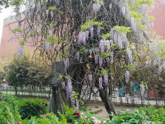 -北京市劳动人民文化宫(太庙)