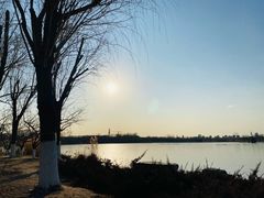 -大兴滨河森林公园