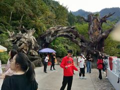 -龙湾潭国家森林公园